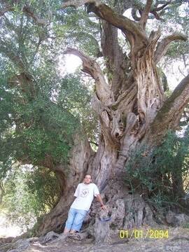 Public Photo of simoRM87